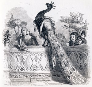 De pauw die klaagt bij Juno - Fabels van La Fontaine door Grandville