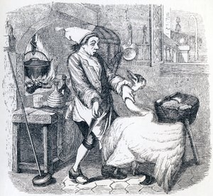 De zwaan en de kok - Fabels van La Fontaine