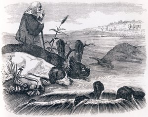 De twee honden en de dode ezel - Fabels van La Fontaine door Grandville