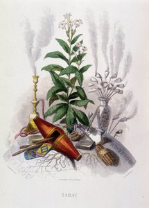 Tabaksplant en rookgerei - in "Geanimeerde bloemen" door Grandville door Grandville