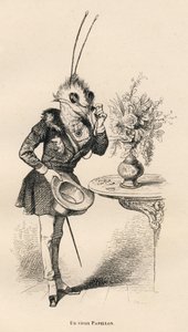 Een oude vlinder die de tijd bekijkt met zijn bril. Geïllustreerde vignetten door JJ Granville. Gravure gesigneerd door Breviere in het deel getiteld "De avonturen van een vlinder" geschreven door PJ Stahl in "Scènes uit het privé- en openbare leven van di door Grandville