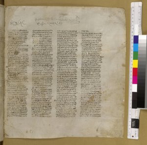 Codex Sinaiticus (perkament) door Greek School