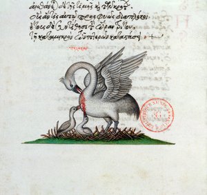 Een pelikaan die zijn borst doorboort om zijn jongen te voeden, uit een Bestiarium door Manuel Philes, 1566 door Greek School