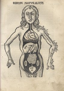 Margarita Philosophica. Anatomie door Gregor Reisch