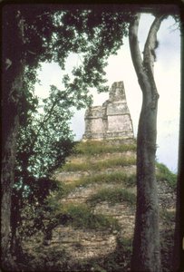 Tempel van de Inscripties, c. 700 n.Chr. door Guatemalan School