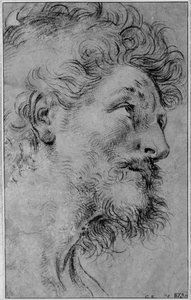 Hoofd van de heilige Crispinus door Guido Reni