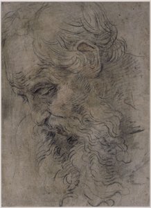 Hoofd van de heilige Paulus de kluizenaar door Guido Reni