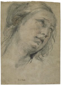 Het hoofd van een jonge vrouw naar boven kijkend door Guido Reni