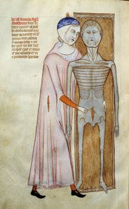 Geneeskunde: anatomie en chirurgisch bord dat een dissectiescène voorstelt. Pagina uit het manuscript 