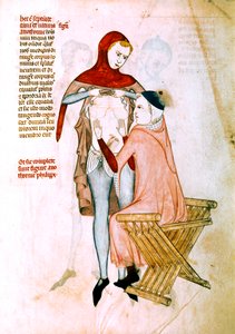 Arts onderzoekt de patiënt (miniatuur) door Guido da Vigevano da Pavia