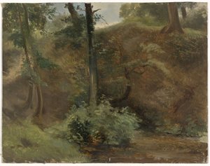 Bomen in een duinlandschap
