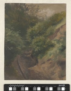 Duinweg