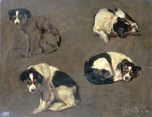 Vier studies van een hond door Guillaume Anne van der Brugghen