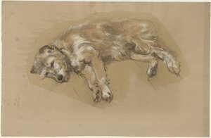 Liggende hond door Guillaume Anne van der Brugghen