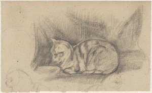 Liggende kat naar links