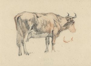 Staande koe, naar rechts door Guillaume Anne van der Brugghen