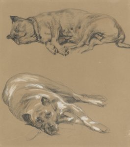 Twee studies van een liggende hond door Guillaume Anne van der Brugghen