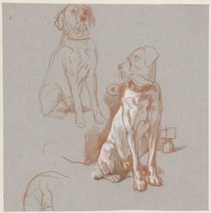 Twee studies van een zittende hond door Guillaume Anne van der Brugghen