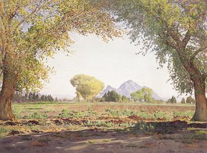 De Salt River Valley