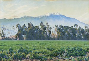 De Sierra Nevada Bergen
