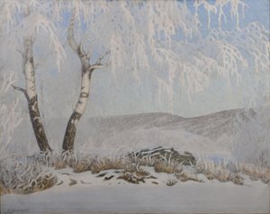 Witte vorst in zonneschijn door Gustaf Fjæstad