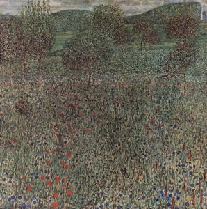 Bloeiend veld
