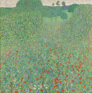 Bloeiende papaver
