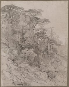 Bomen op een rotsachtige heuvel door Gustave Achille Guillaumet