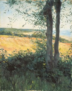 Aan zee, Normandië, 1884