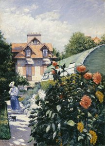 Dahlias, tuin in Petit Gennevilliers