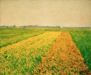 De vlakte van Gennevilliers, gele velden
