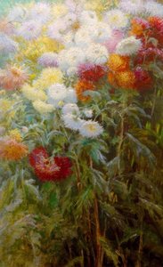 Massa chrysanten, tuin van Petit Gennevilliers