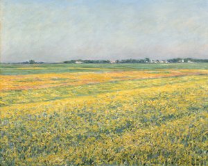 De vlakte van Gennevilliers, gele velden, 1884