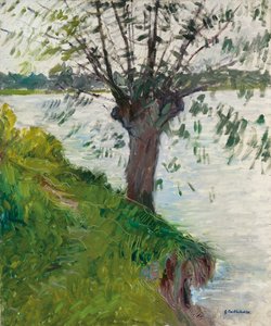 Wilg aan de rivier; Saule au bord de la rivière, c. 1891 door Gustave Caillebotte