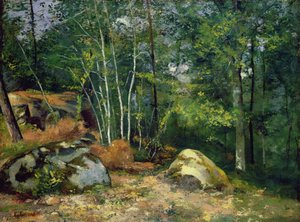 Hoek van het Bos
