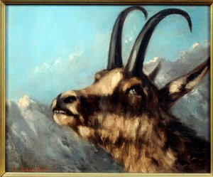 Hoofd van een Gems door Gustave Courbet