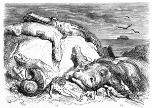 Gravure door Gustave Doré rond 1850: evocatie van een apocalyptische zondvloed die bijbelse traditie combineert (men kan in de verte de ark van Noach op zee zien) en het begin van wetenschappelijke kennis (verschillende monsterlijke dieren gestrand op de b door Gustave Dore