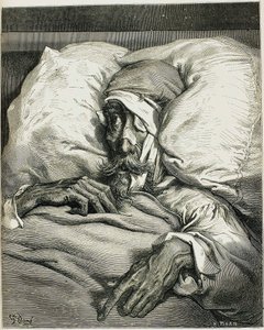 Illustratie uit de roman Don Quichot, door Miguel de Cervantes, 1863