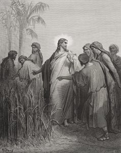 Jezus en Zijn Discipelen in het Korenveld, illustratie uit Dore