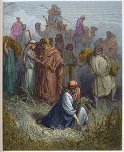 Ruth en Boaz - Ruth werkend in de velden van Boaz - gravure in De geïllustreerde Bijbel door Gustave Doré (1832-1883) - Gravure uit De Doré Bijbel door Gustave Dore