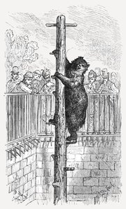 De Berenkuil - Dierentuin door Gustave Dore