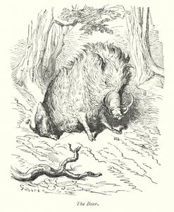 Het zwijn (gravure) door Gustave Dore