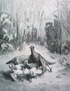 De fabel van de leeuwerik, haar jongen en de meester van het veld, illustratie voor de Fabels van La Fontaine