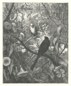 De Fabels van La Fontaine: Philomel en Progne door Gustave Dore