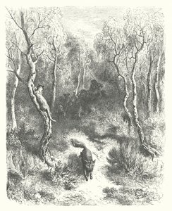 De Fabels van La Fontaine: De Kat en de Vos