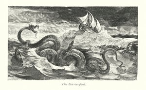 De zeeslang (gravure)
