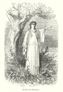 Windsor Forest (gravure) door Gustave Dore
