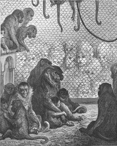 Dierentuin - Het apenhuis door Gustave Dore