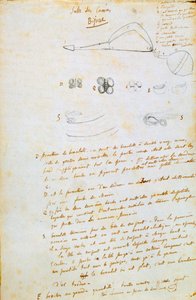 Tekeningen van juwelen voor Salammbô door Gustave Flaubert