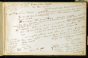 Folio 41 van werkboek nr. 19 Manuscriptpagina van Gustave Flauberts concepten. Plannen voor Bouvard en Pecuchet. BHVP door Gustave Flaubert